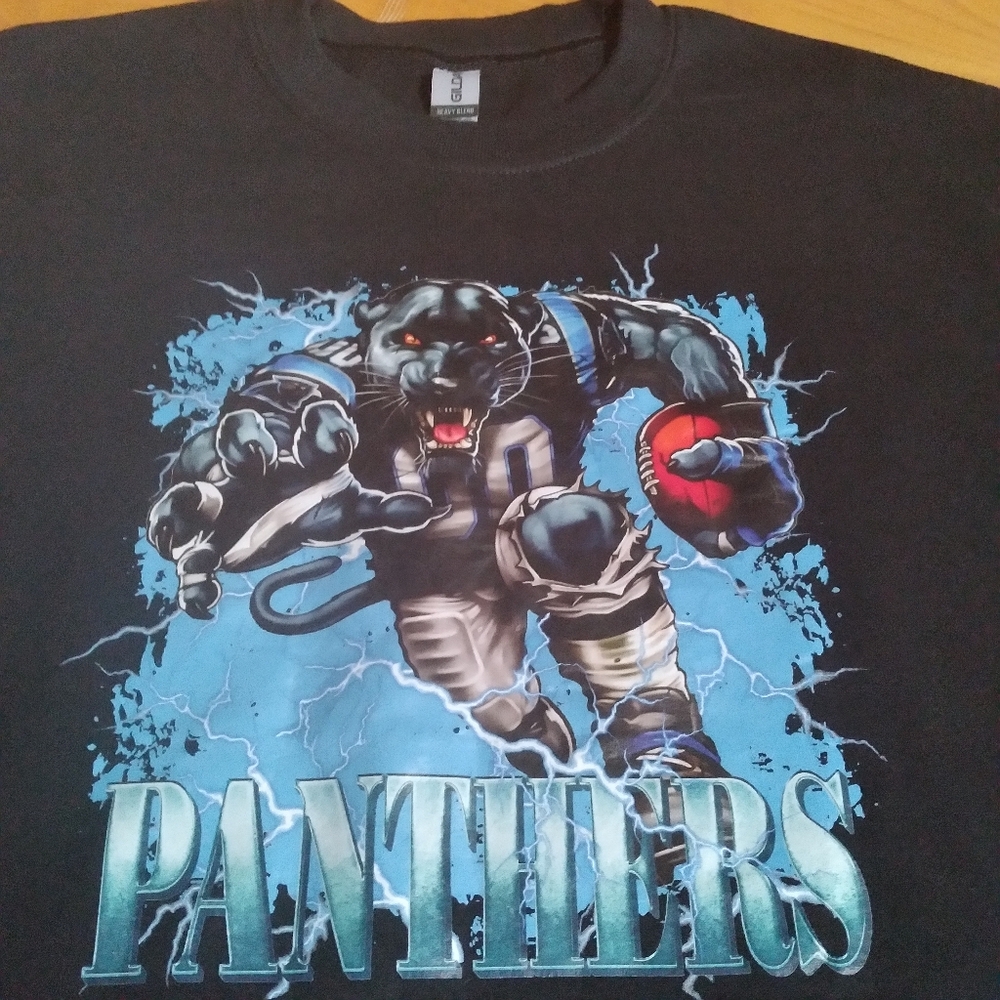 Carolina Panthers Black Gildan Graphic Sweatshirt Medium
